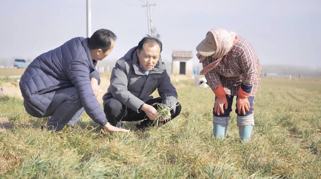 泰安市农科院：科技赋能四季行 农科助力促振兴