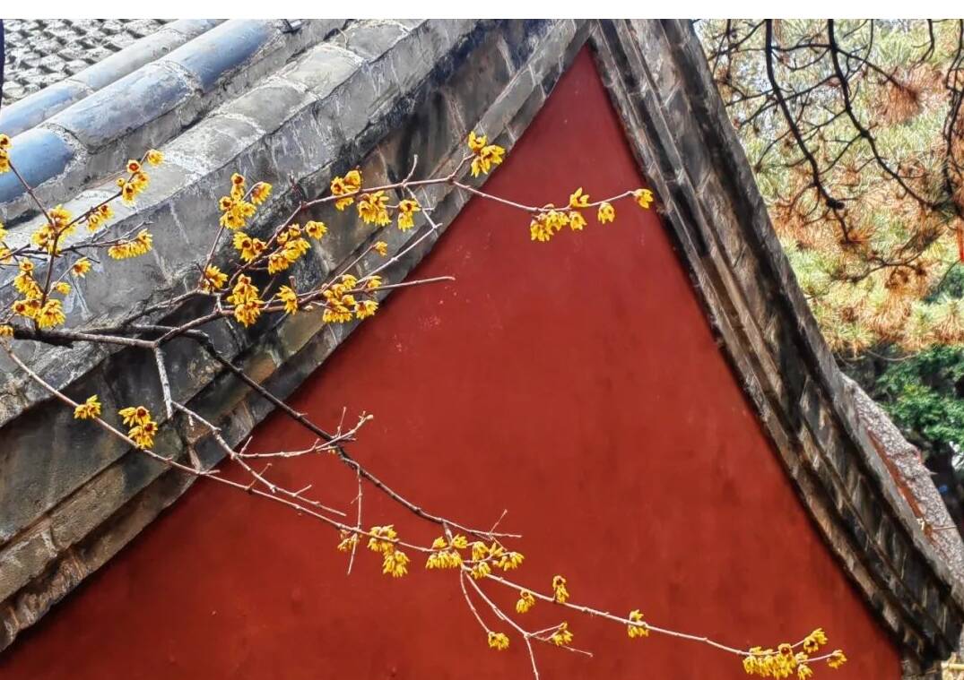 泰安市鼓励土地立体开发 推动城市地下空间高效利用