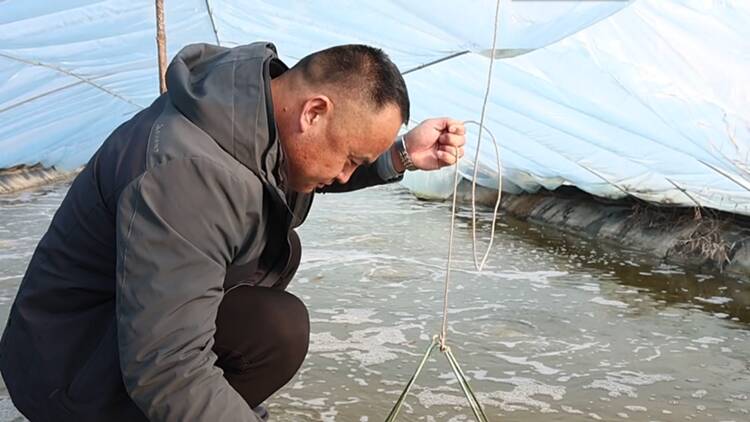 濱州：人勤春來早 轉型促增收