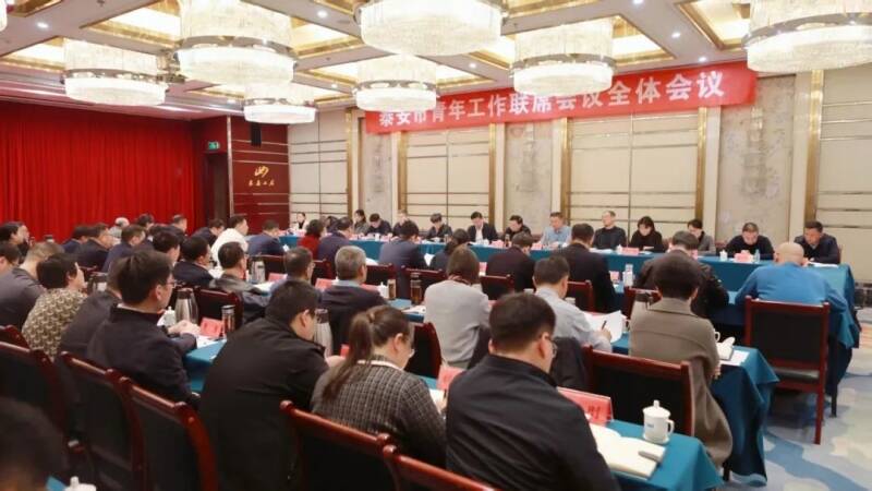 泰安市青年工作联席会议全体会议召开