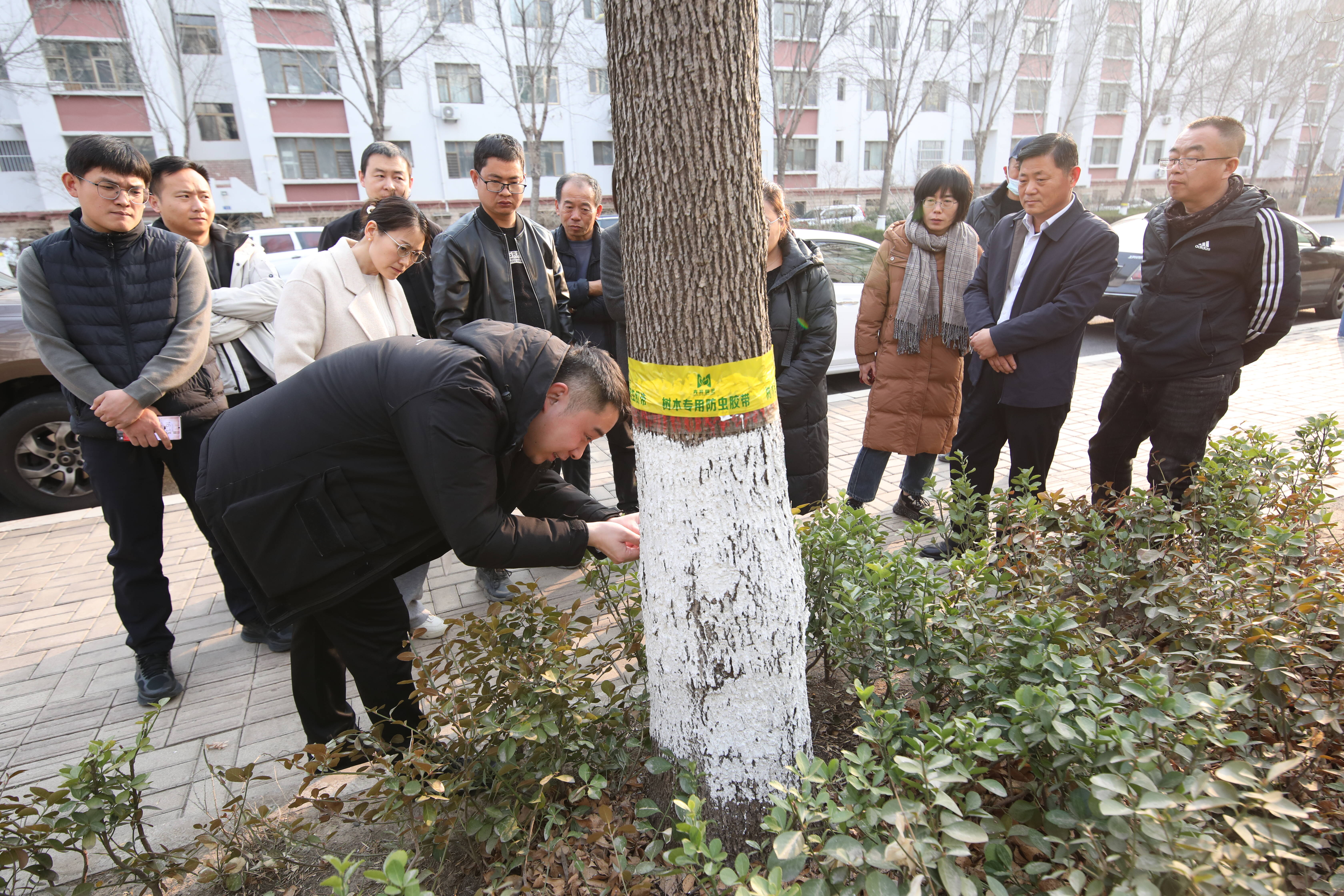 濱州城管舉行春夏季節園林植物病蟲害識別與防治培訓會