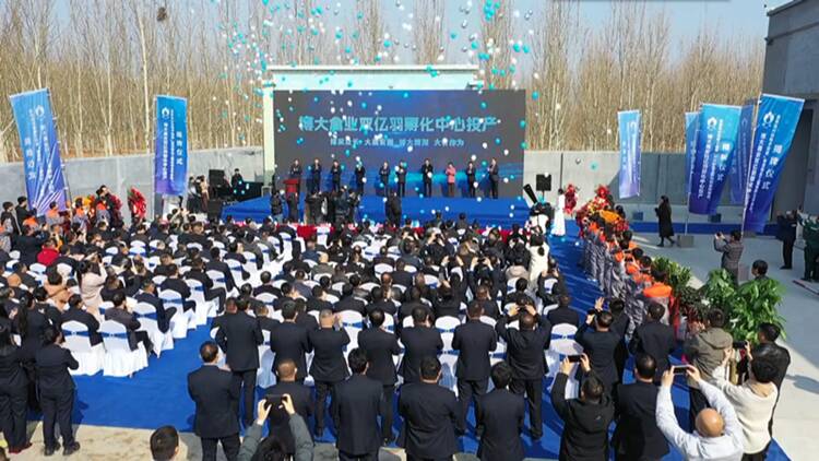 【關注項目建設】年出雞苗2億羽的山東博大禽業雙億羽孵化中心項目今天在博興投產