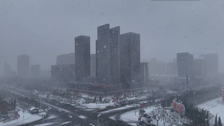 濱州：紛飛雪花簌簌飄落 城市仿若童話世界