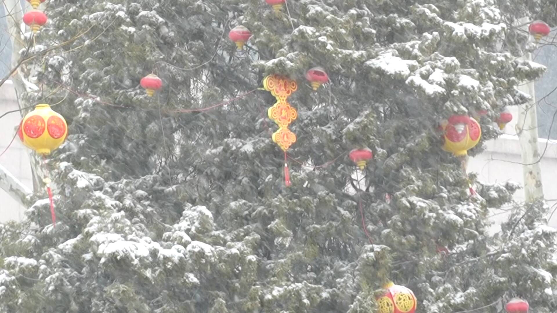德州：迎来雨雪天气 气温明显下降
