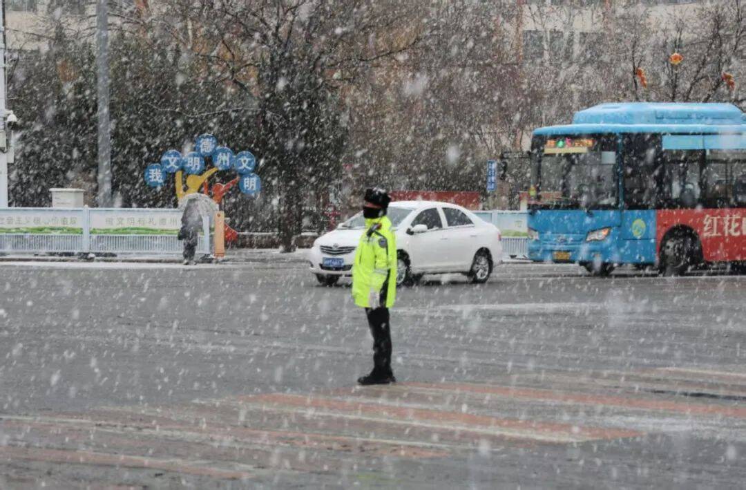 当泼天的暴雪落到德州......