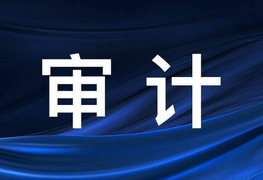 阳谷县审计局以“三聚焦”全面体检政府购买服务