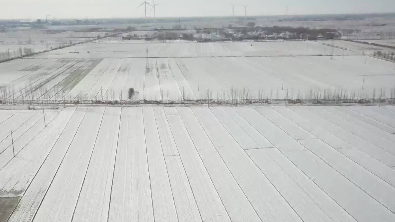 应对寒潮降雪天气：农技人员分类施策 保障农业生产安全