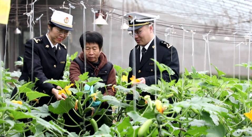 日照市农产品出口活力十足