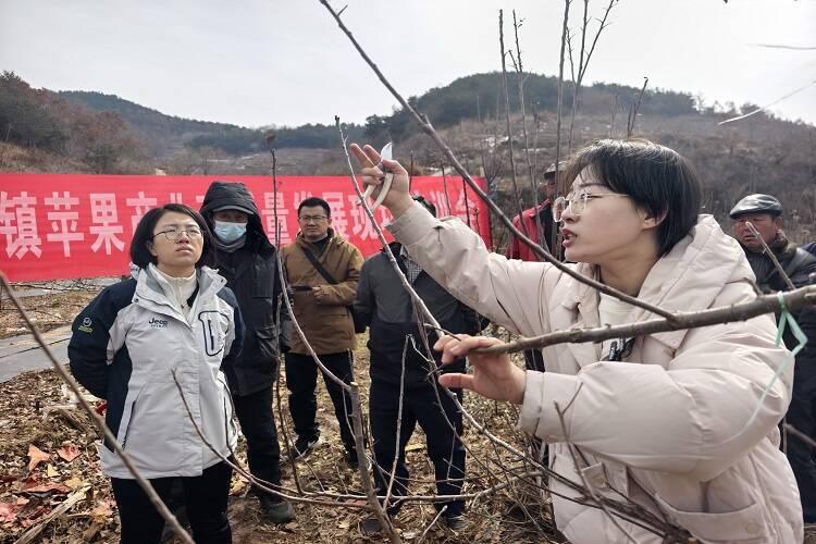 开云体育入口科技引领苹果产业转型升级 栖霞市启动“果业技术进乡村”系列活动(图1)