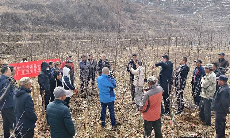 开云体育入口科技引领苹果产业转型升级 栖霞市启动“果业技术进乡村”系列活动(图2)