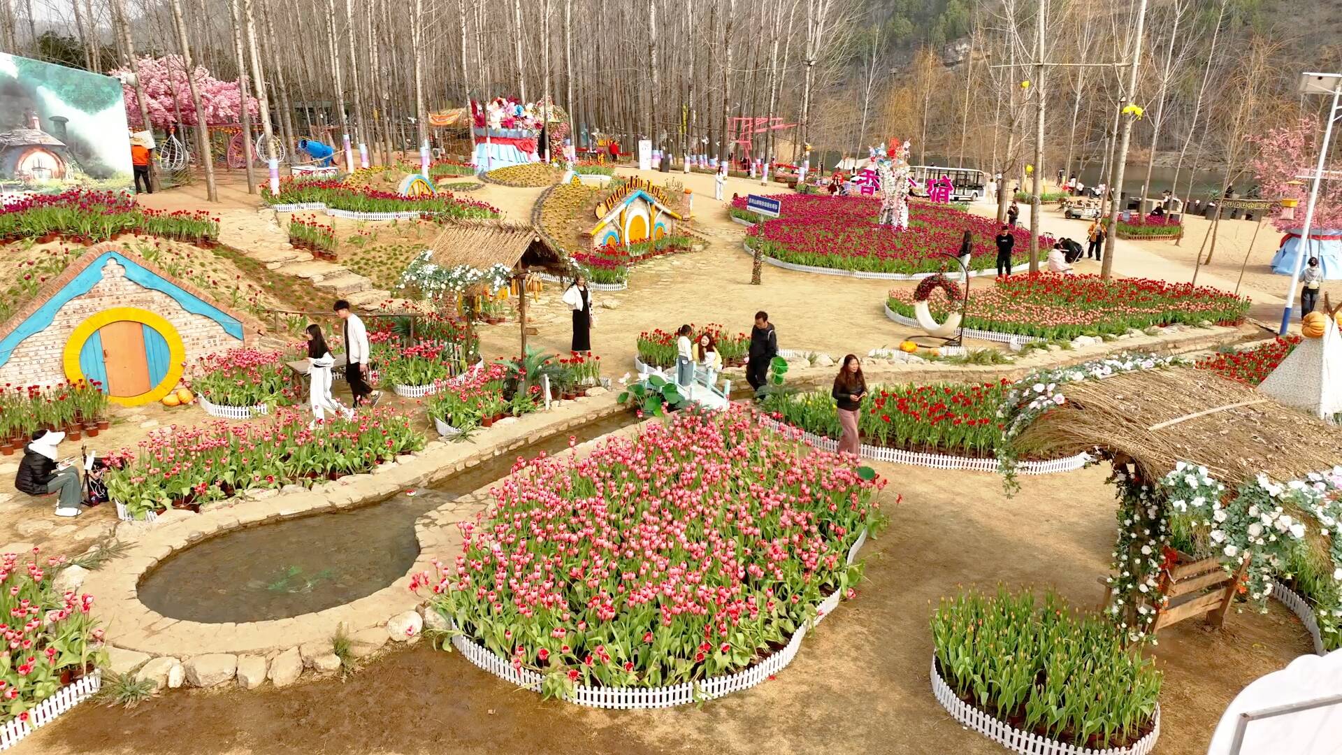 临沂：10万余株郁金香织就烂漫春景