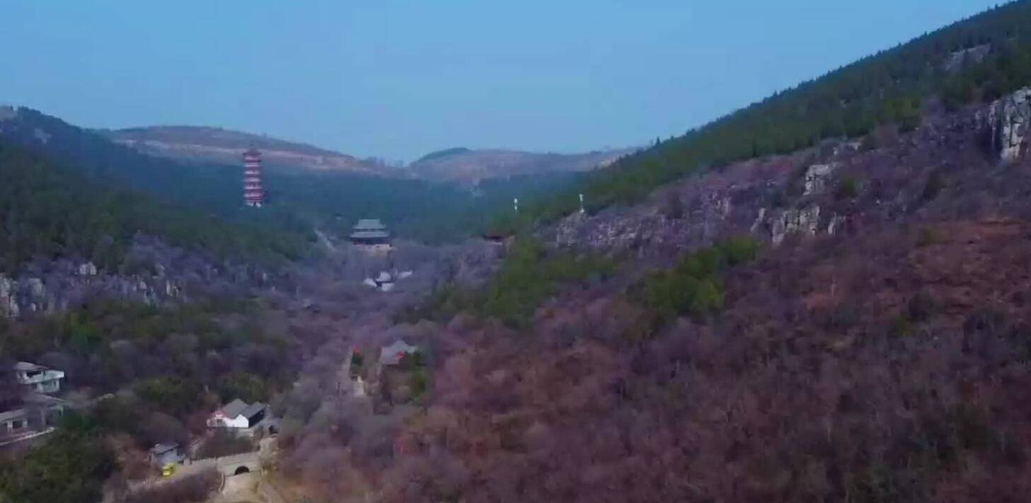 诗画山东｜枣庄青檀山“换春装”  松岩叠翠壮阔细腻