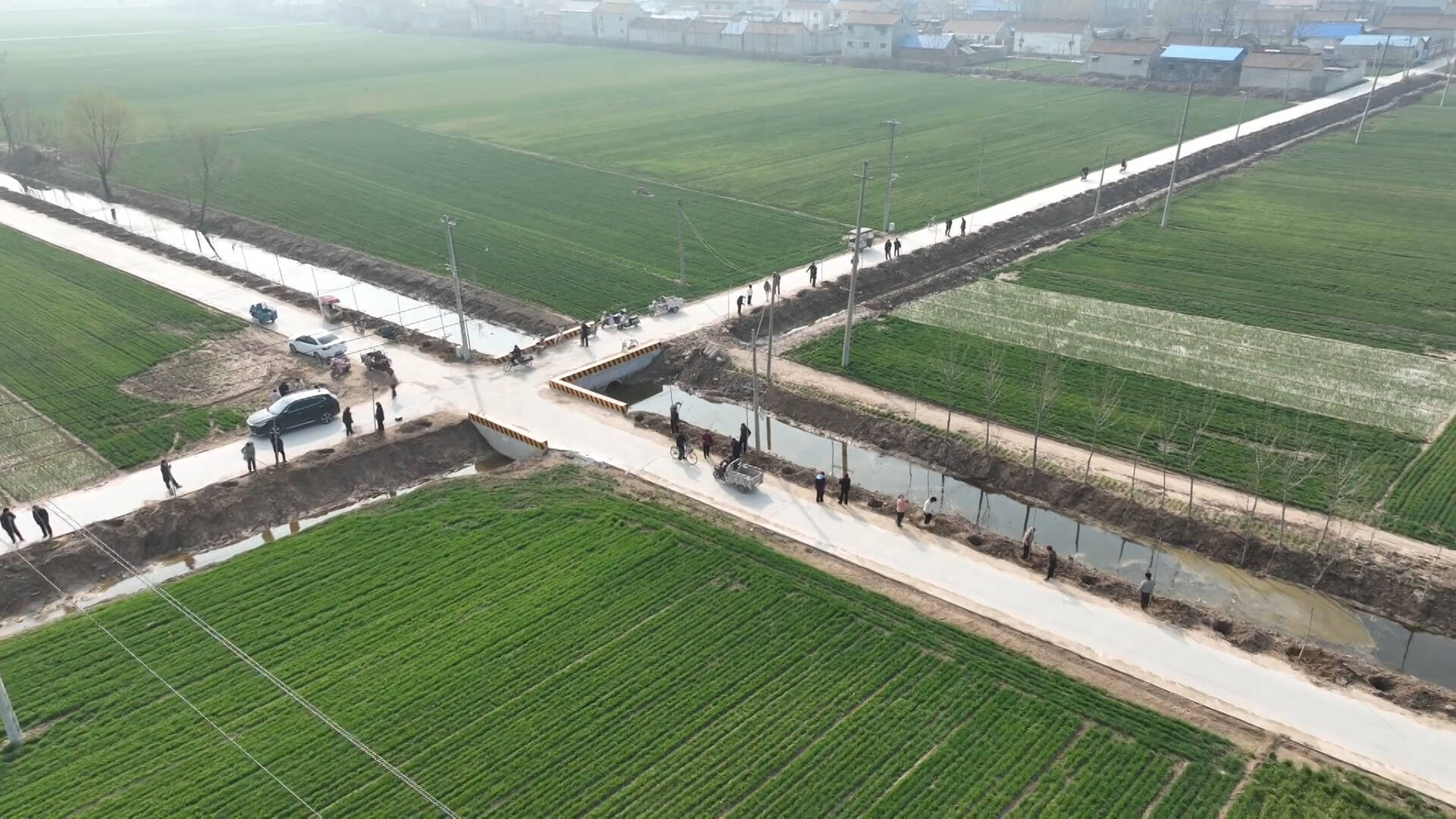 菏泽定陶：植树正当时 助力美丽乡村建设