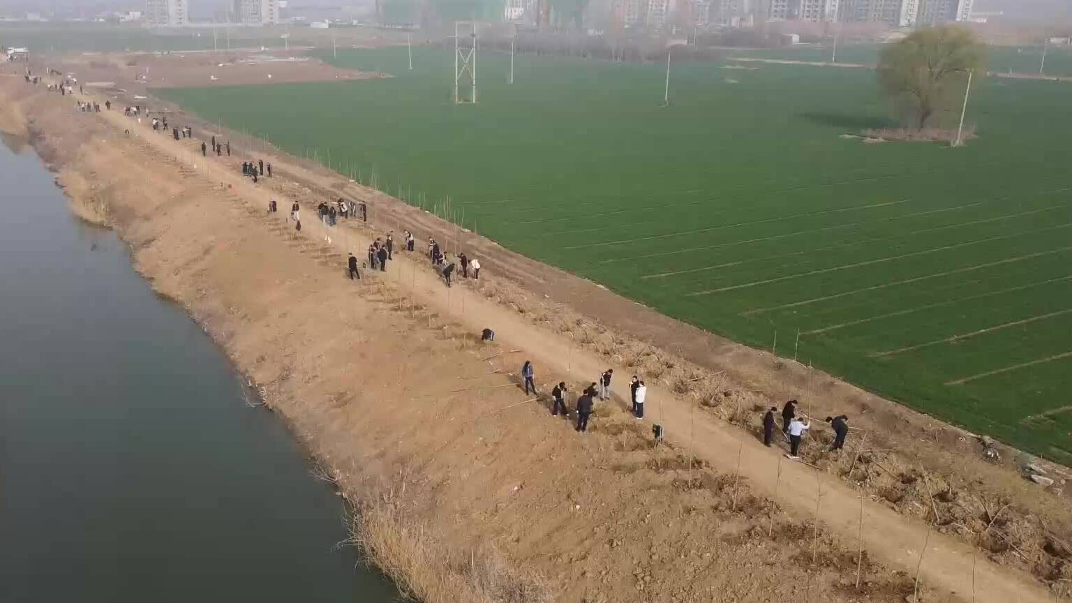 任城：植树造林正当时 生态建设添新绿
