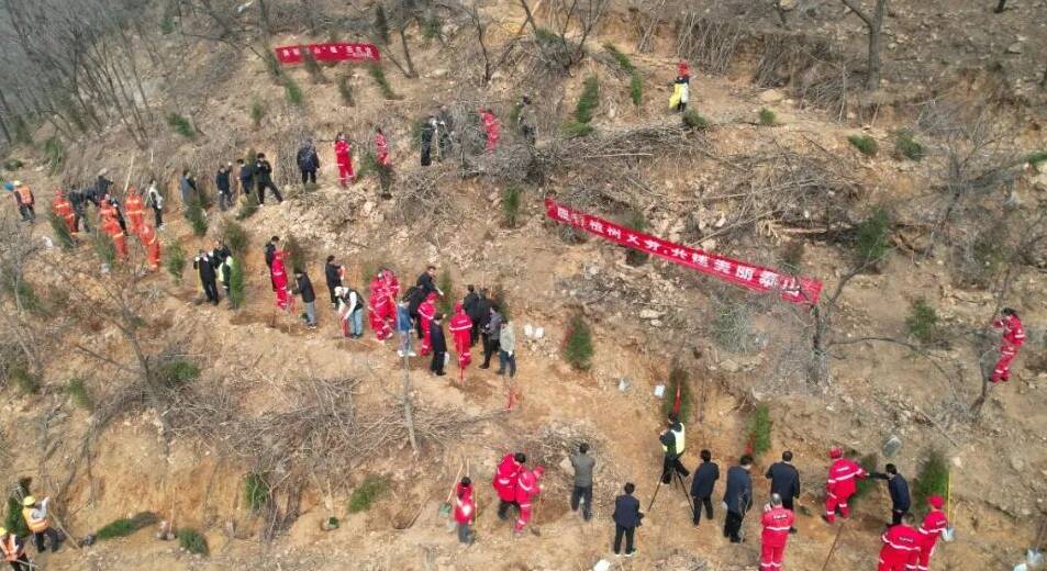 第47个植树节丨全民参与义务植树 在泰山种下平安吉祥