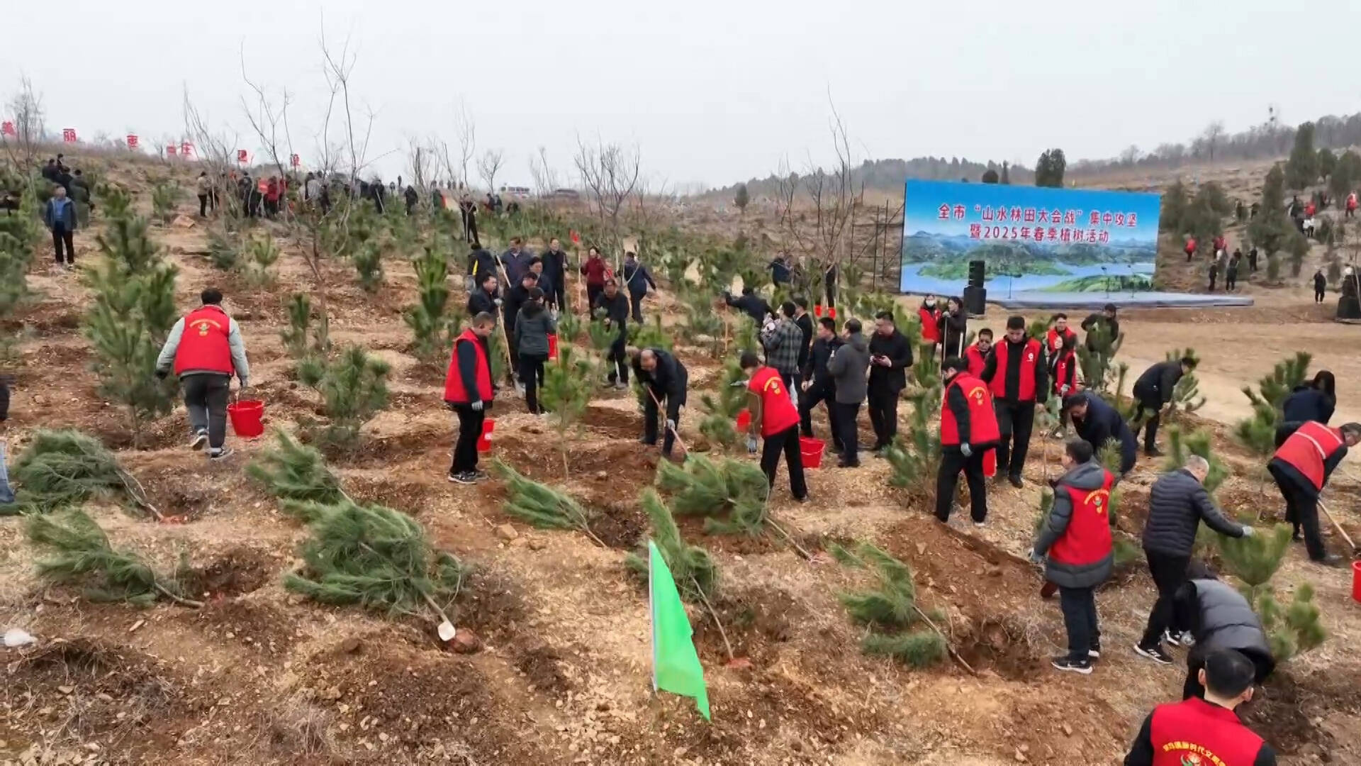 枣庄：春日植绿正当时 绘就生态新图景