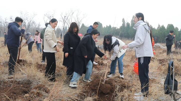 植树节 枣庄齐村镇2000棵黄栌树苗扎根 助力生态宜居建设