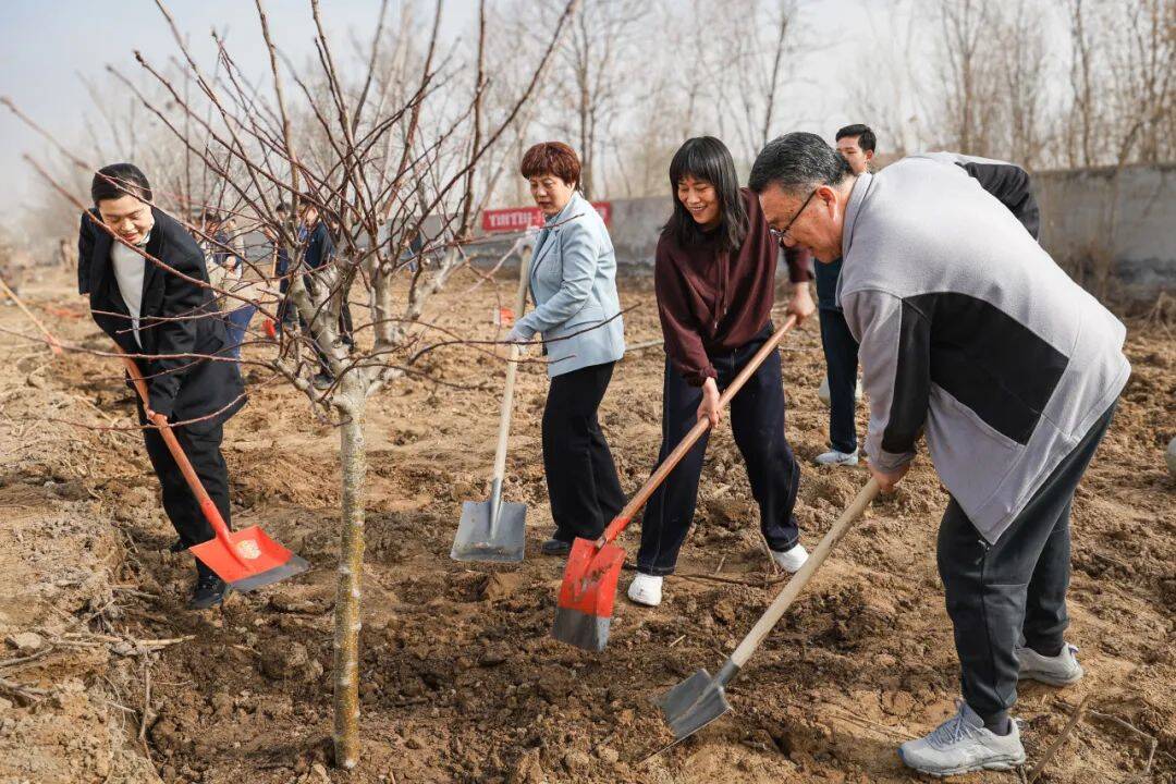 有樹可棲 未來可期 濱州職業學院開展義務植樹活動