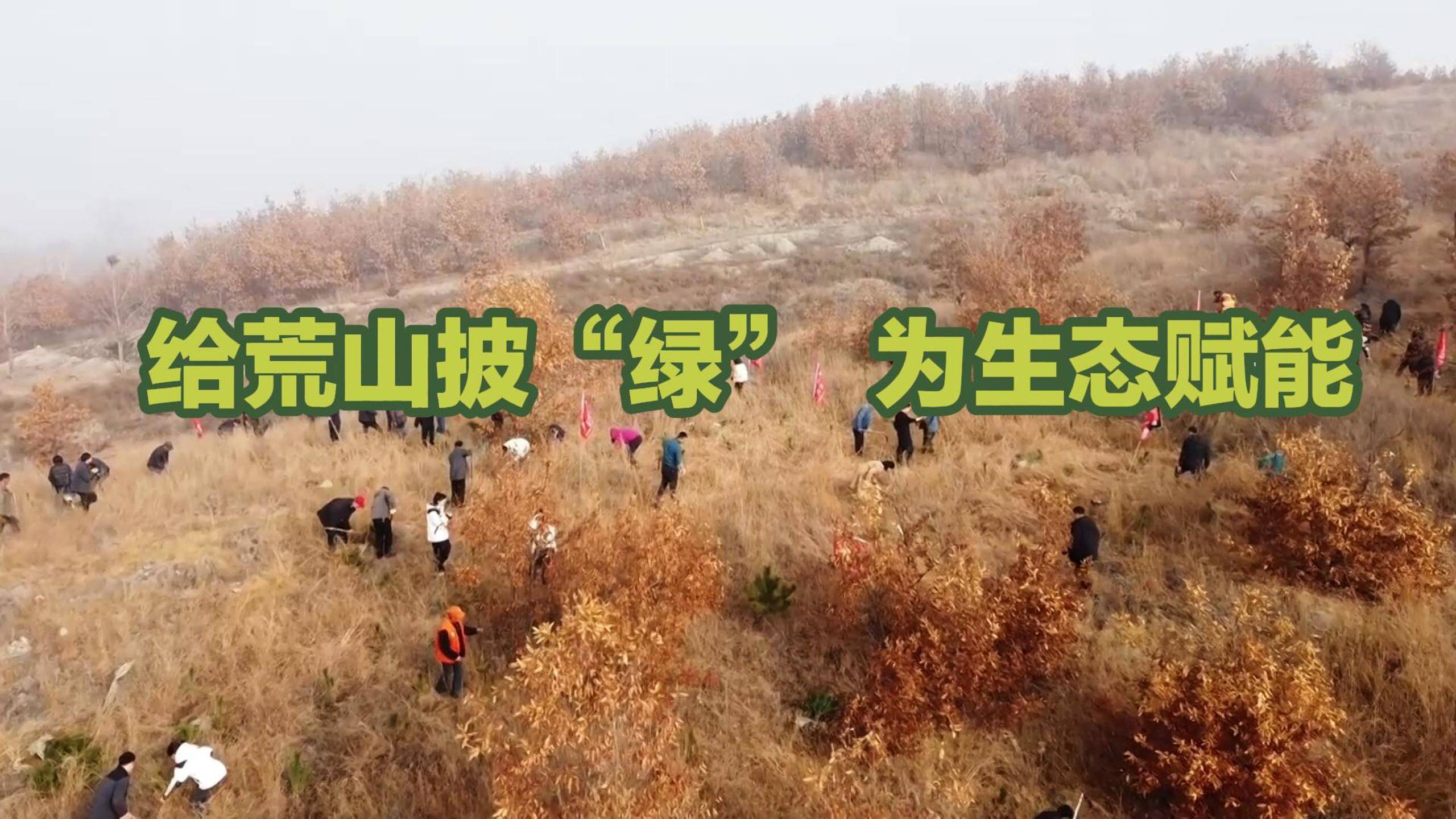 日照莒县：给荒山披“绿” 为生态赋能