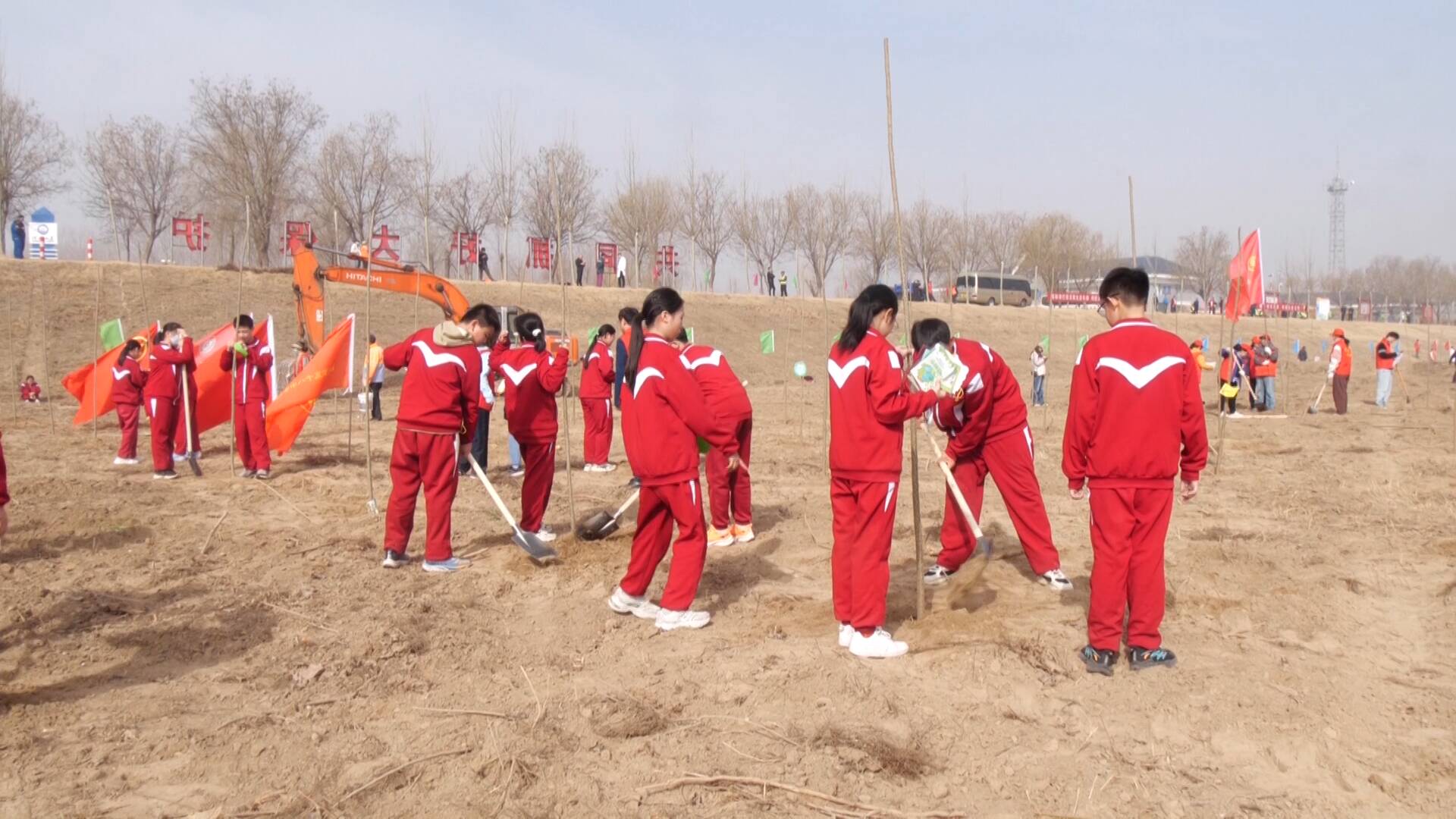 【第47个植树节】东营市东营区：黄河堤岸披新绿 盐碱地筑起“绿长城”