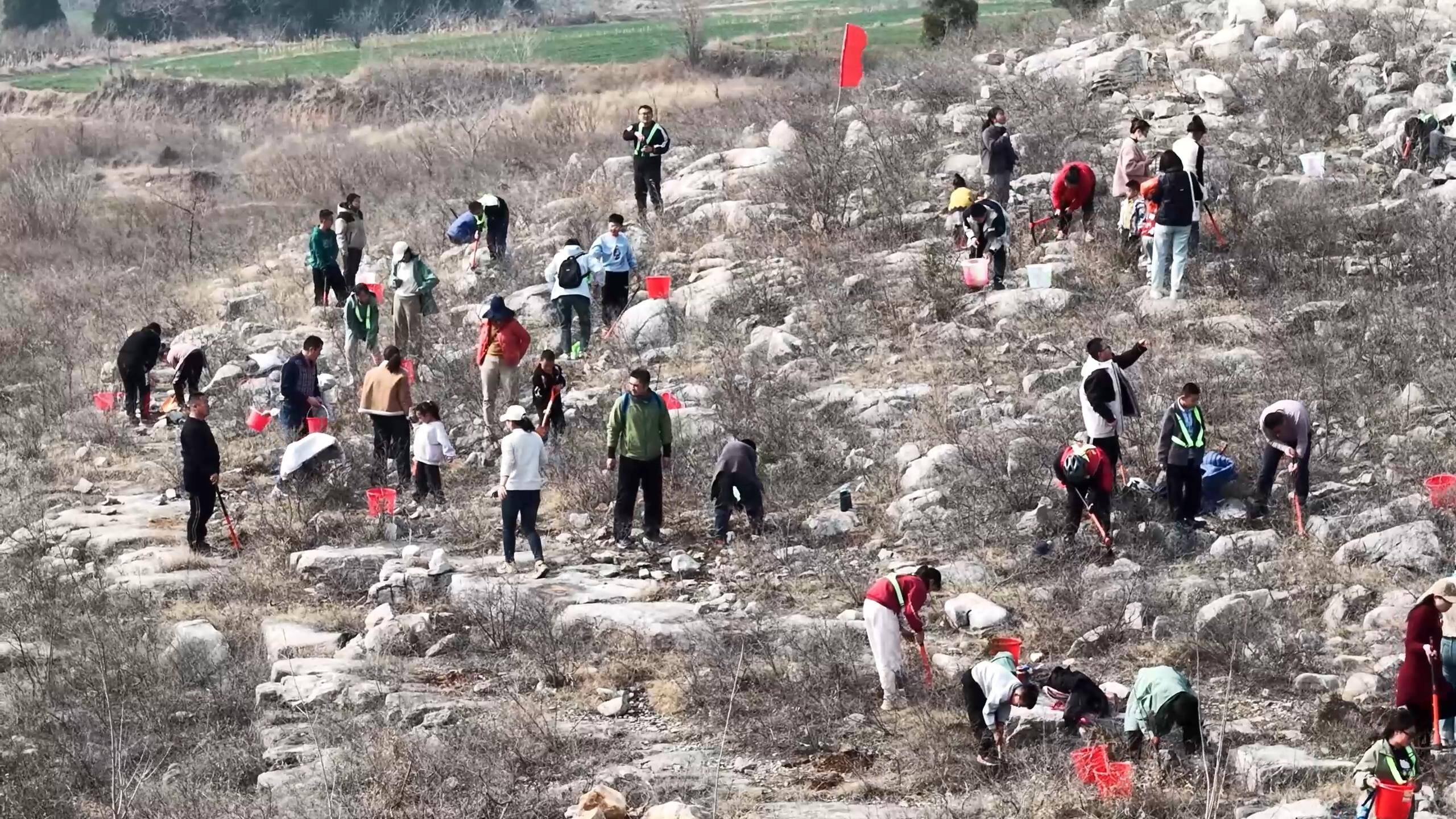第47个植树节丨绿满东平筑屏障 守护黄河谱新篇