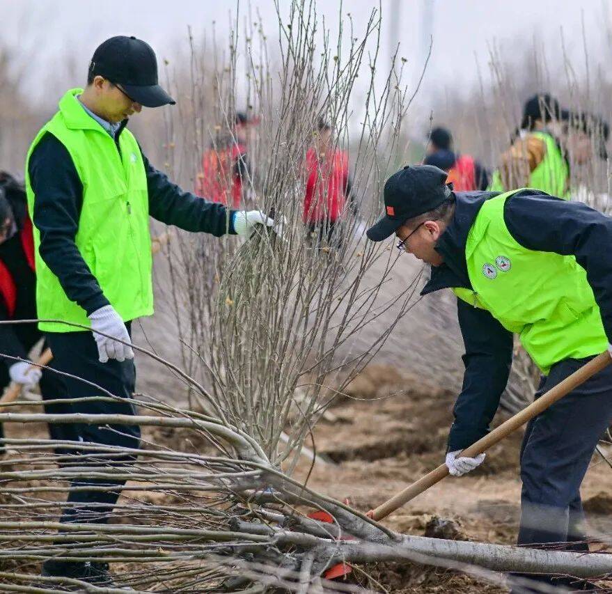 山东省国资委与山东高速集团开展植树共建活动