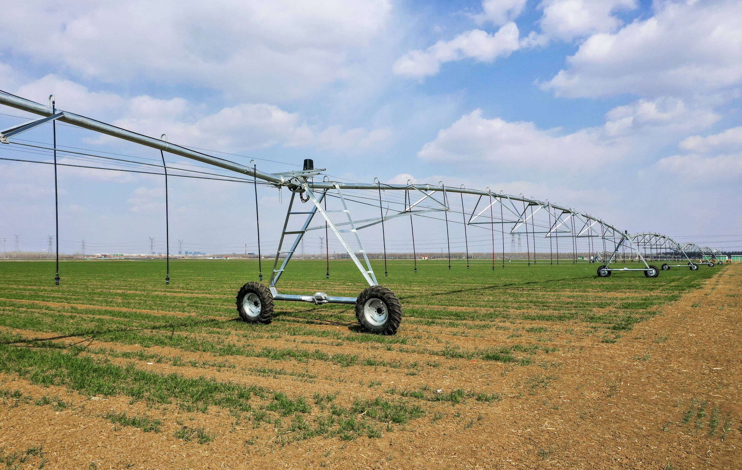 大型自走式桁架喷灌机是当下很热门的农耕帮手,麦田里的它们正为返青