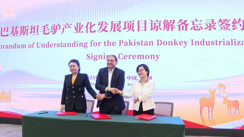 中国-巴基斯坦驴产业合作交流会在东阿召开