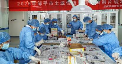 邹平市圆满完成2025年土源性线虫病监测工作   