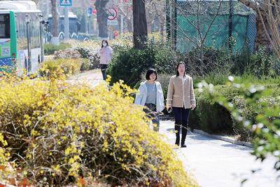 青岛消费活力旺！春意催热“春日经济”，这个周末你想去哪玩？