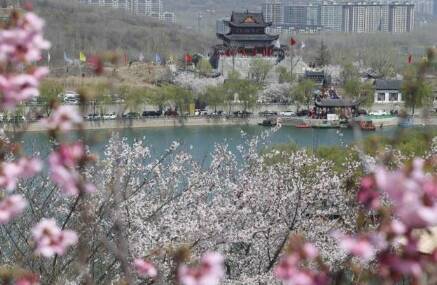  邹平市樱花山第十二届樱花节盛大开幕滨州、章丘、周村“三地”签约“春日游三城”资源共享