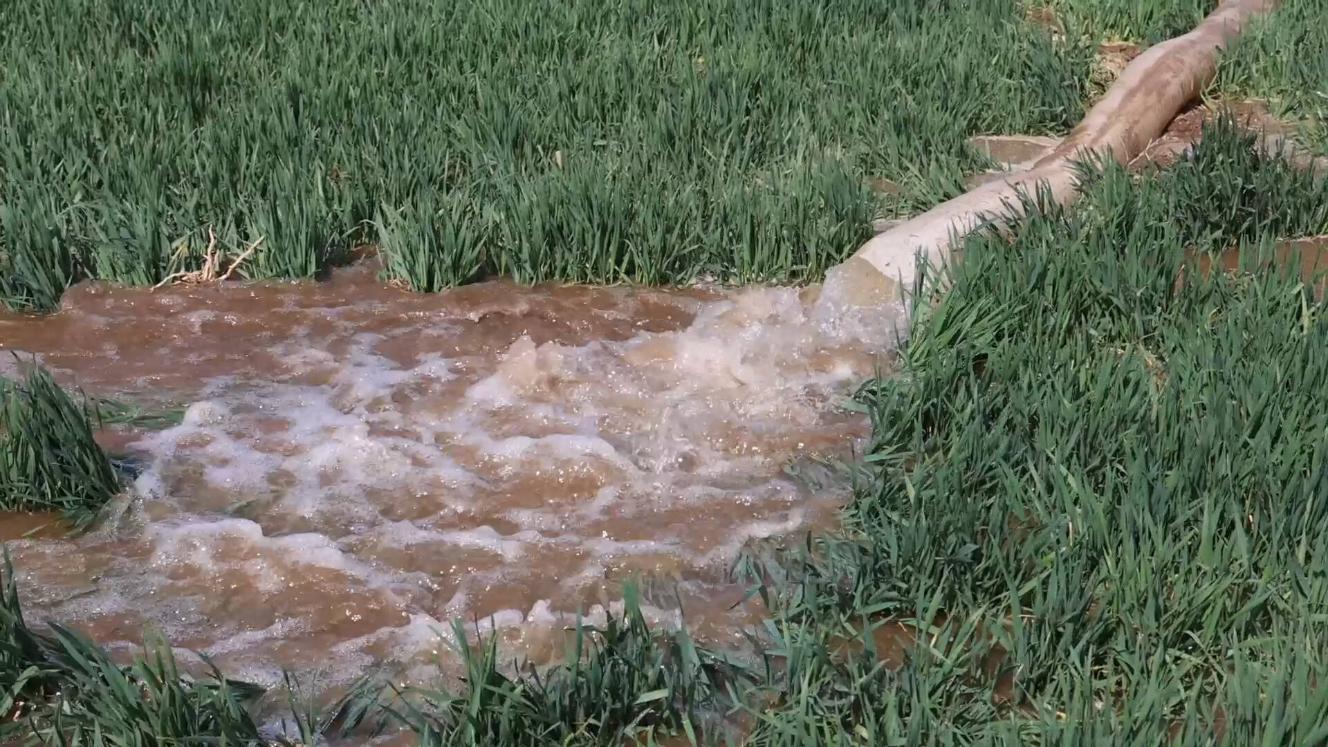 夏津县：水网建设 筑牢高质量发展水利根基