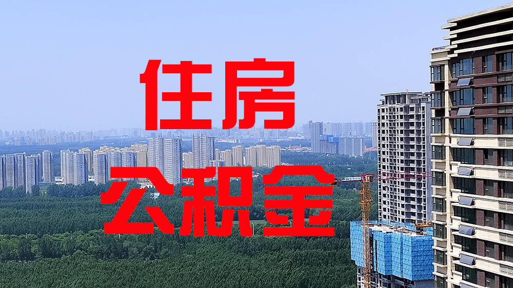 德州市住房公积金2024年度报告发布 5项指标居全省前列