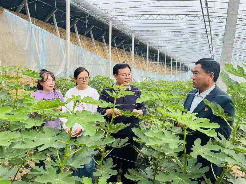 泰安市人大代表亓会峰：用脚步丈量民情 走出群众丰收路