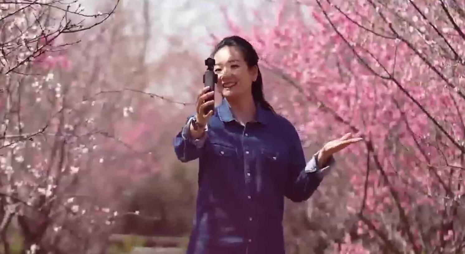 淄博高新区傅山村：花开烂漫时，共赴赏梅之约