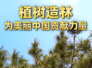 第1視點｜植樹造林 為美麗中國貢獻力量