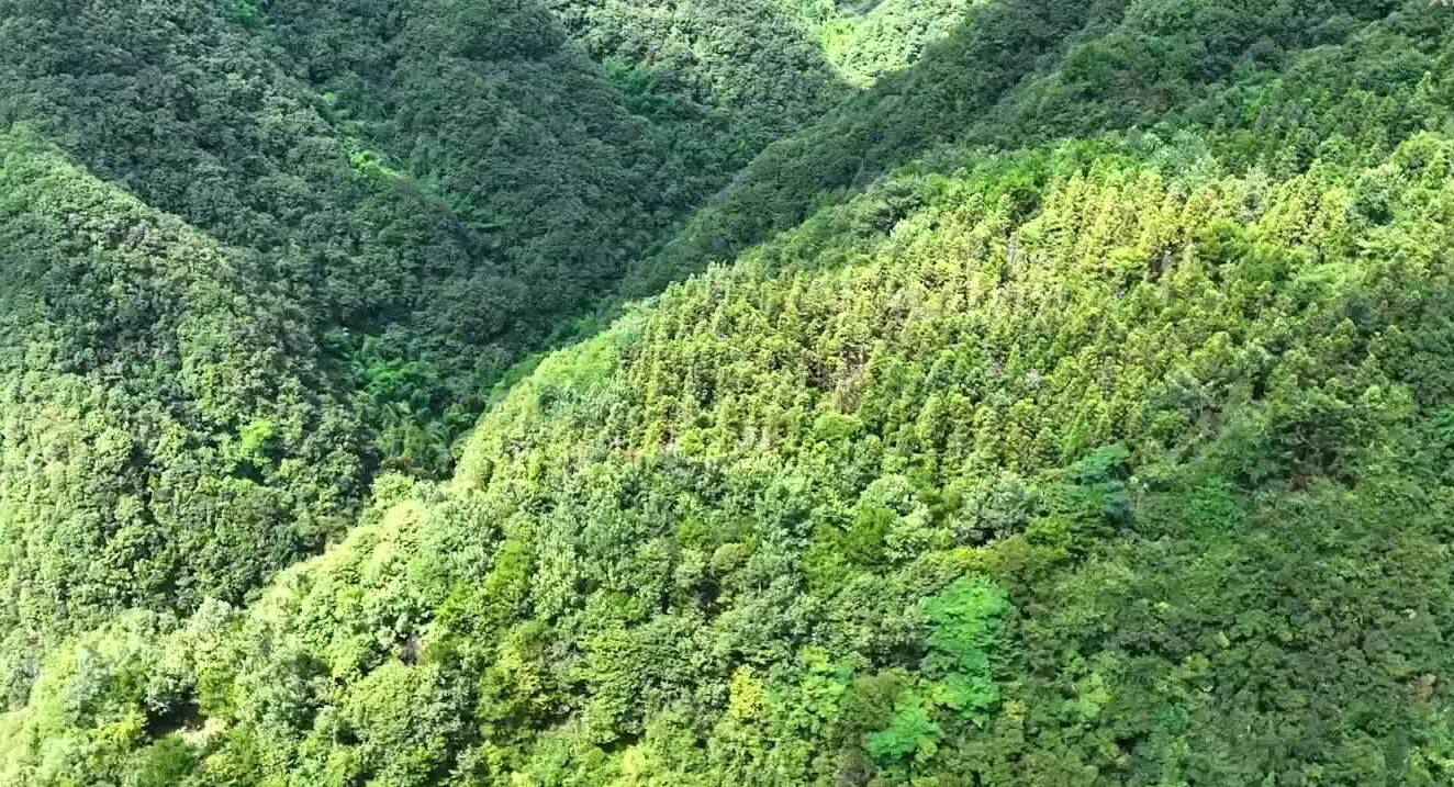 學習快評｜匯聚共建美麗中國磅礴力量