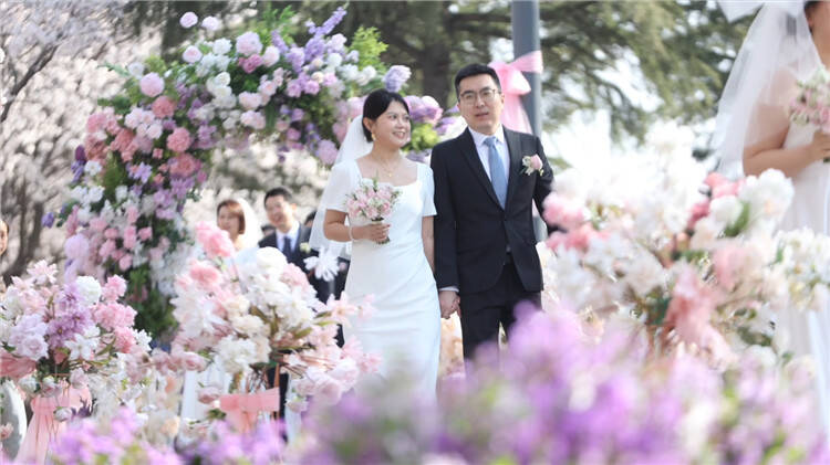 樱花树下的约定！中国海洋大学举行校友集体婚礼