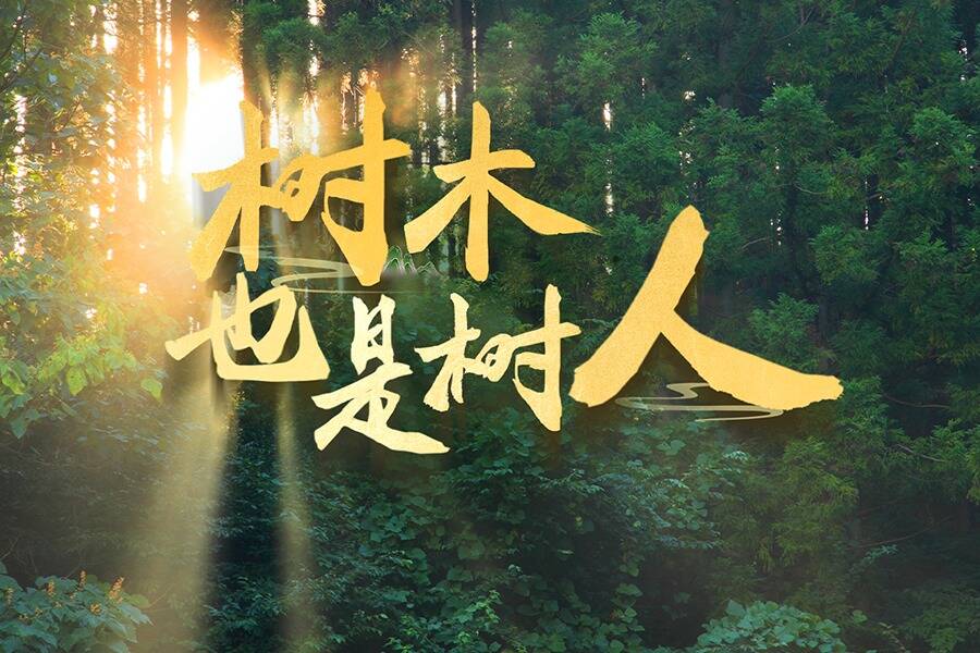 近觀“兩山” | 樹木，也是樹人