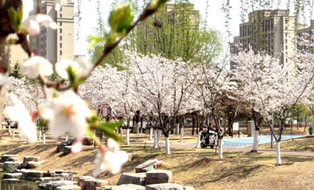 春景入画来