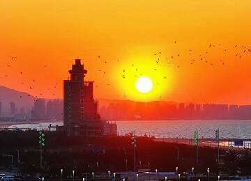 烟台：沙鸥巡天际 余晖尽染天