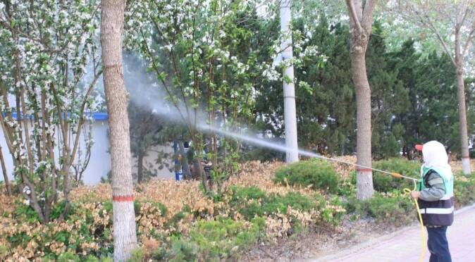 濱州市濱城區“上、中、下”綜合防治楊柳飛絮 守護市民春日出行路