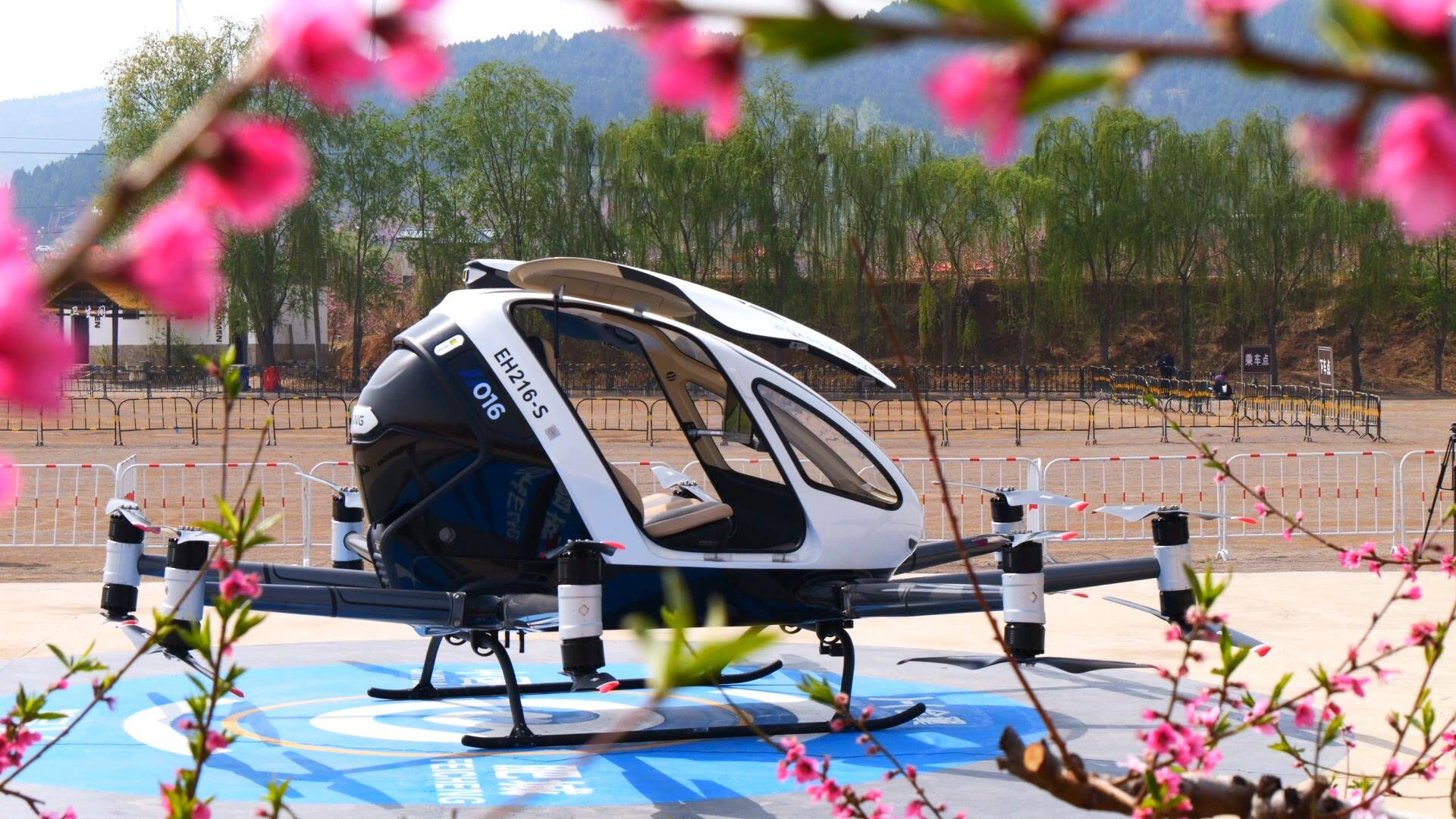 肥城“低空赏花”火爆 开启春日旅游新体验