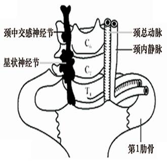 5bf51a1fff8143d78652f6b1e80e60d8.png