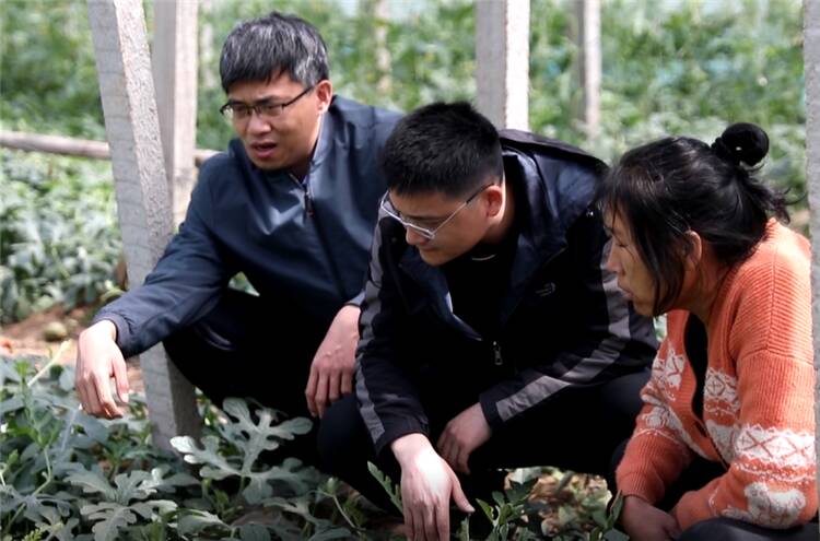 潍坊昌乐：农技人员进田间 支招应对大风降温