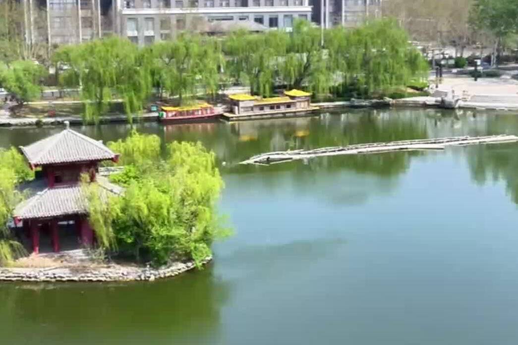 快来德州董子园景区！沉浸式体验“藏”在船里的茶馆