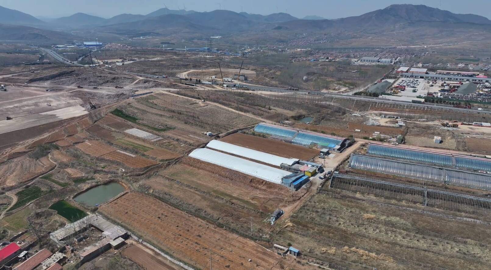 山东五莲：淡水三文鱼上市 产销两旺