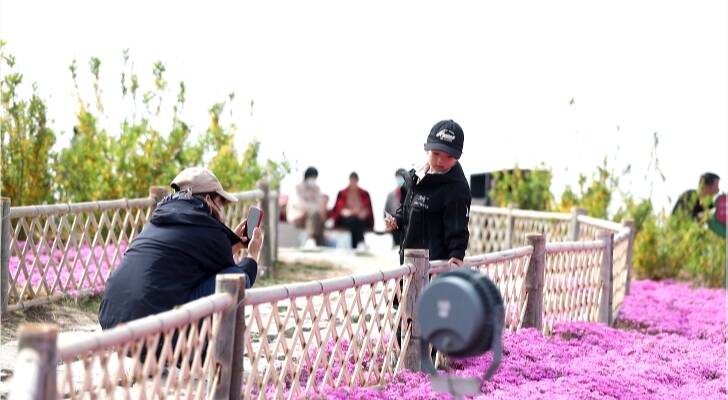 潍坊昌乐：公园“花海”披上“春日盛装” 游客尽享优美自然风光