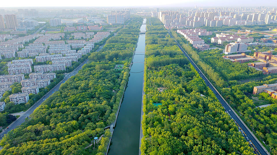 濱州市新立河公園 創(chuàng)新機(jī)制推動(dòng)綠化品質(zhì)升級(jí)