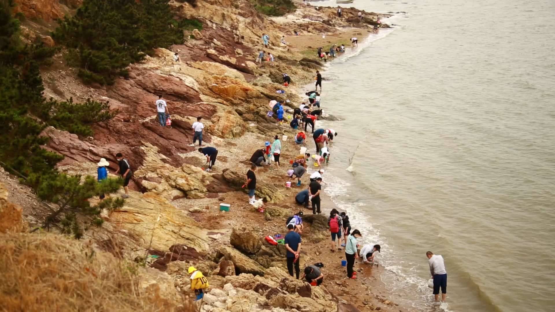 艺术家宣传网:桥梁之于画家